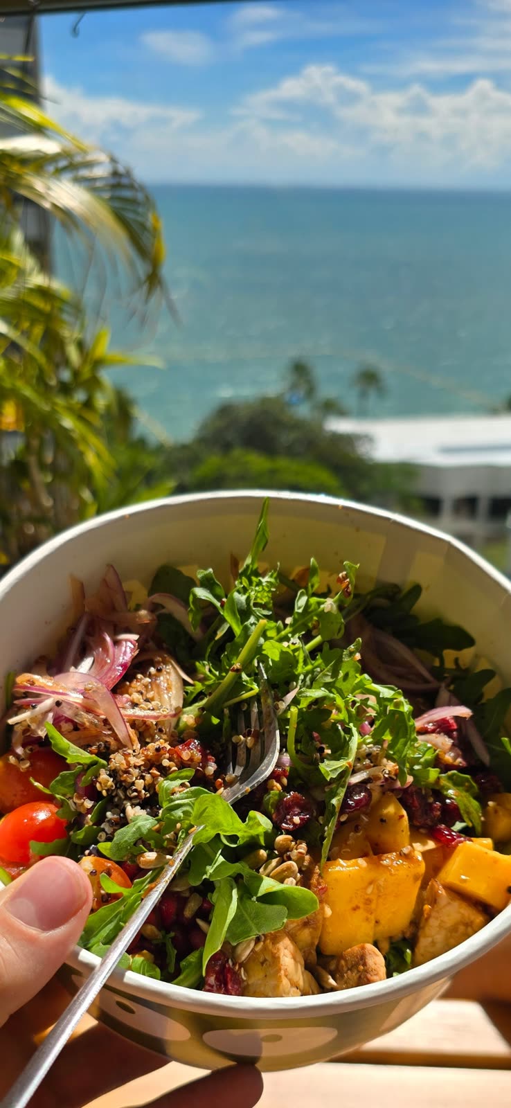 Lunch overlooking palms and the sea